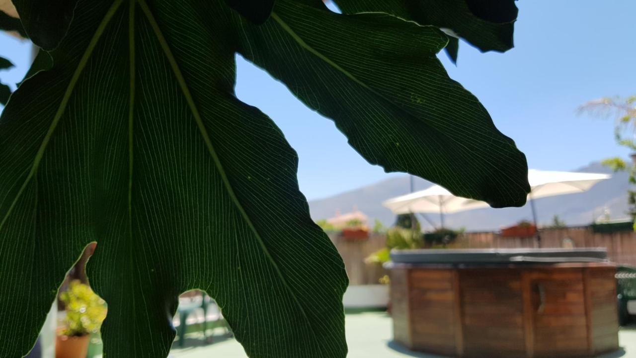 Posada Alpujarra Sol Orgiva Exteriér fotografie