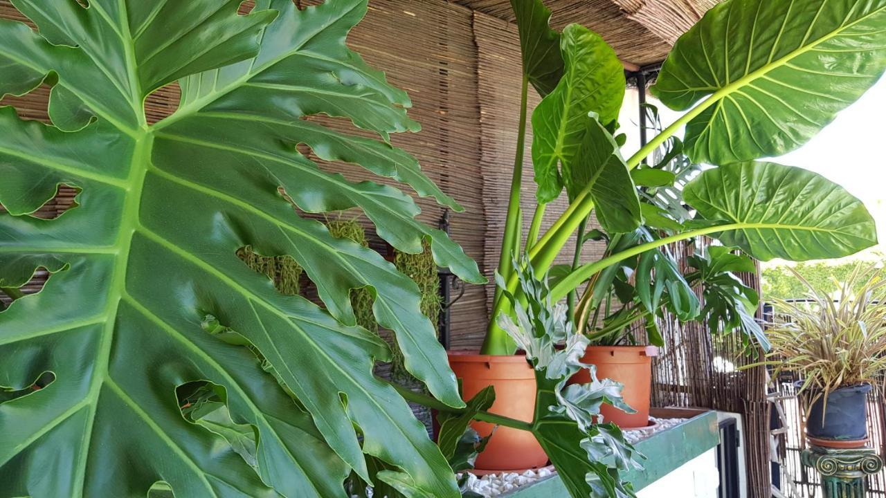 Posada Alpujarra Sol Orgiva Exteriér fotografie